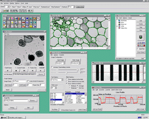 GLOBAL LAB Image/2